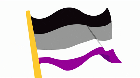 Giphy - Asexual Pride GIF by Bustle