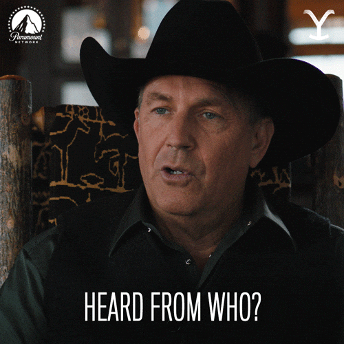 Giphy - Paramount Network John GIF by Yellowstone