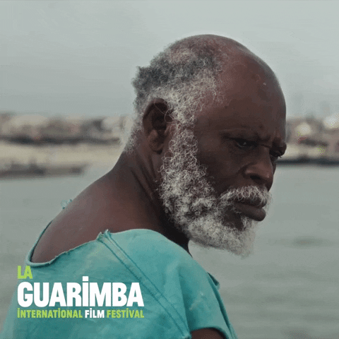 Giphy - Excuse Me Reaction GIF by La Guarimba Film Festival