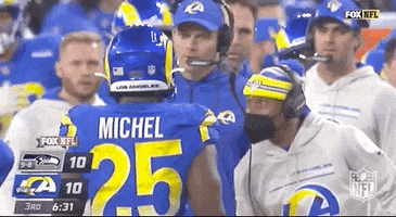 Los Angeles Rams Football GIF by NFL