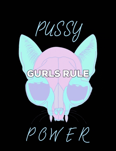 Girls Rule Cat GIF