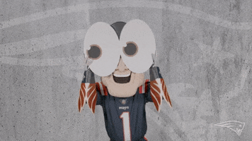 I See You Reaction GIF by New England Patriots
