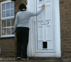 Confused Knock Knock GIF