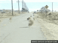 Tumbleweed Productions GIFs - Find & Share on GIPHY