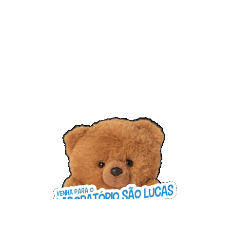 Labor São Lucas Sticker