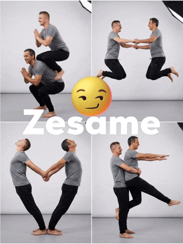 Zesame GIF