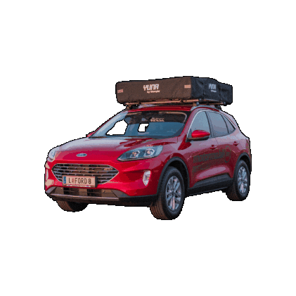 Ford Sticker by INTER-TRADE