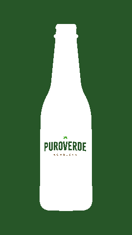 Bottle Kombucha Sticker by Gus