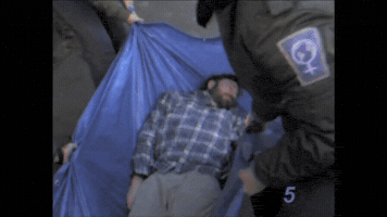 vidserv  GIF