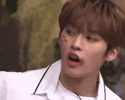 Skz GIF