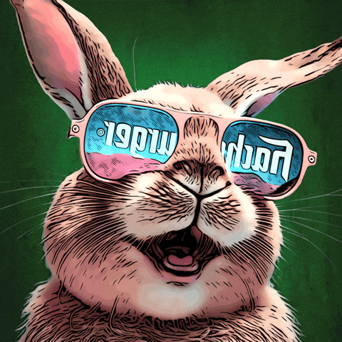 Bier Pils GIF by Hachenburger