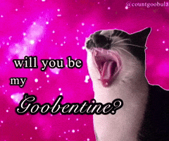 Valentines Day Love GIF