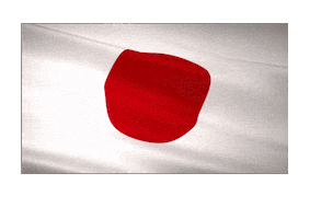 Kite Kitesurfing Sticker by Nicekite