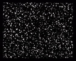 High Frequency Computer GIF