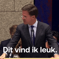 Mark Politiek GIF by VVD