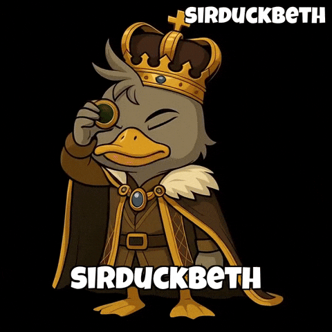 Wisdom Focus GIF by SirDuckbeth