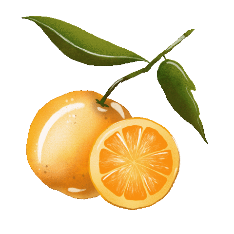 Fruit Sticker