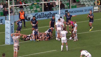 Celebration GIF by Worcester Warriors