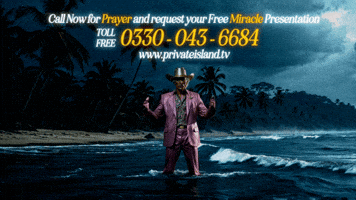 GIF by Private Island