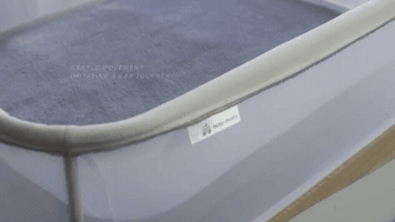Milenio_Digital  GIF