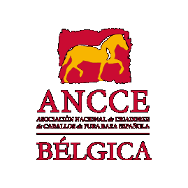 ANCCE-Bélgica Sticker