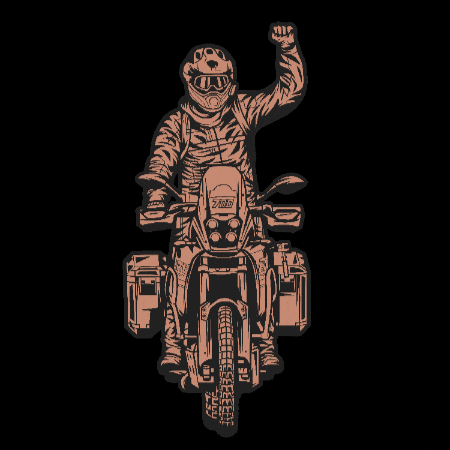 Ténéré Travel Trophy GIF