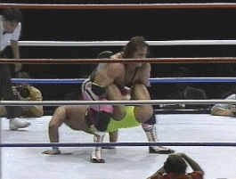 Wrestling GIF