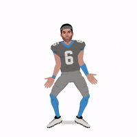 Celebrate Carolina Panthers GIF by SportsManias