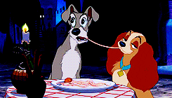 Movie gif. Cartoon Lady and Tramp in the movie "Lady and the Tramp" chew and slurp both ends of the same spaghetti noodle until they lock lips and Lady pulls away with a shy or bashful expression. 
