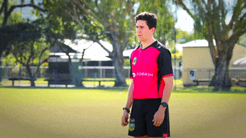 Referee GIF by Touch Football Australia