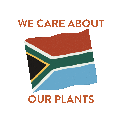 Saffrons Garden Sticker