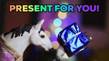Christmas Present For You GIF by Skint Dressage Daddy