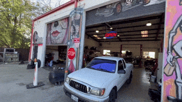 Poetryinmotion GIF by Electric Gato