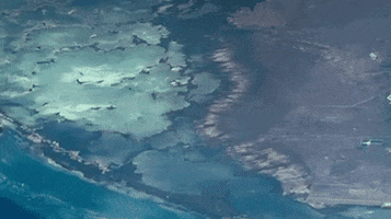 everglades national park GIF by NASA