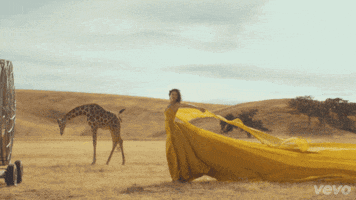taylor swift animated gif GIF by Vevo