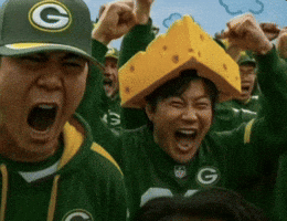 Green Bay Packers GIF