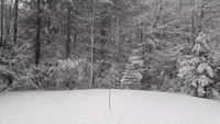 Massachusetts Sees Record-Breaking Snowfall