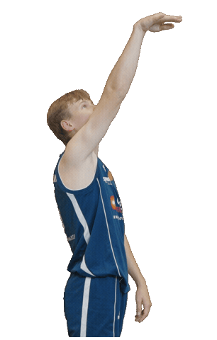 Bensheim Sticker by VfL Basketball