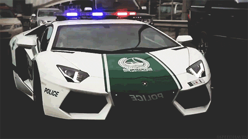 Police Dubai GIF