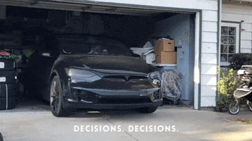 Decisions Modelx GIF by Telsa Owners East Bay