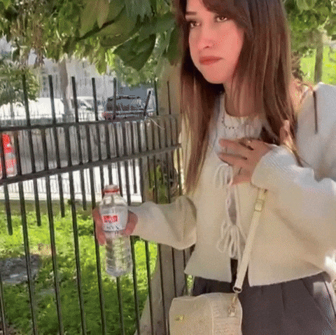 Lineli GIF