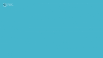 Italy Culture GIF by PBS Digital Studios