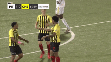 Black And Yellow Win GIF by Charleston Battery