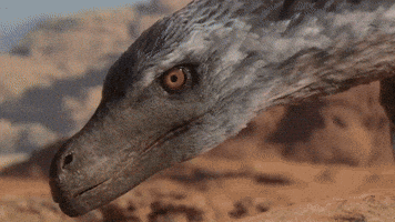 Cool GIF