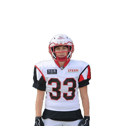 Scorpions Sisters Sticker