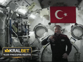 Turkish GIF by KralBet