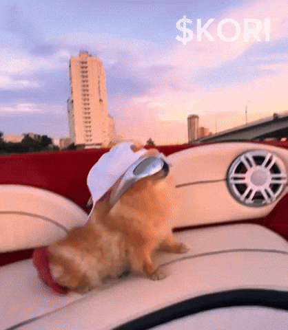 Fun Dog GIF