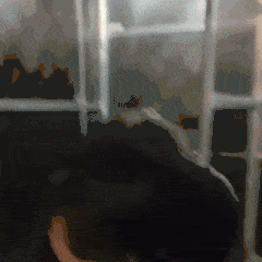 Friend Trend GIF
