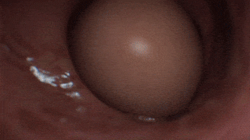 Death Stranding Baby GIF by PlayStation