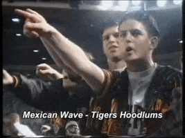 seancallanan  GIF